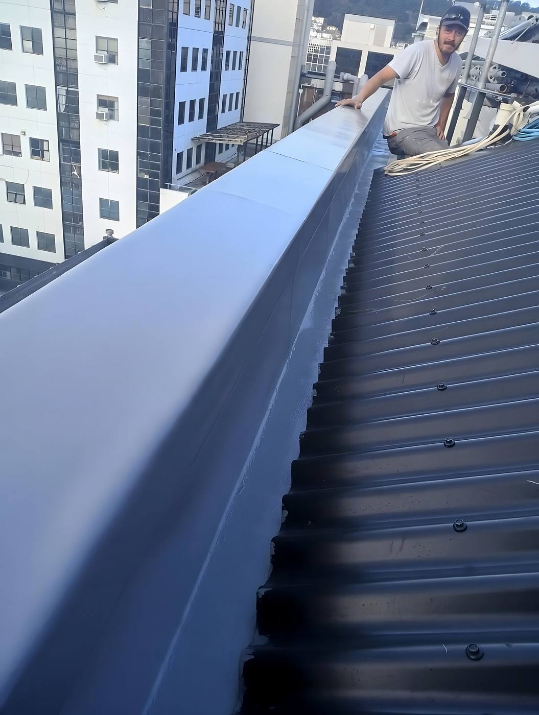 Dark grey long-run roofing and ridge flashing seen from the roof edge